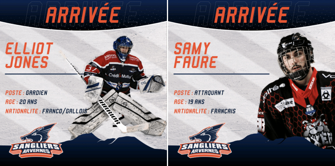 Deux nouvelles recrues pour les Sangliers Arvernes