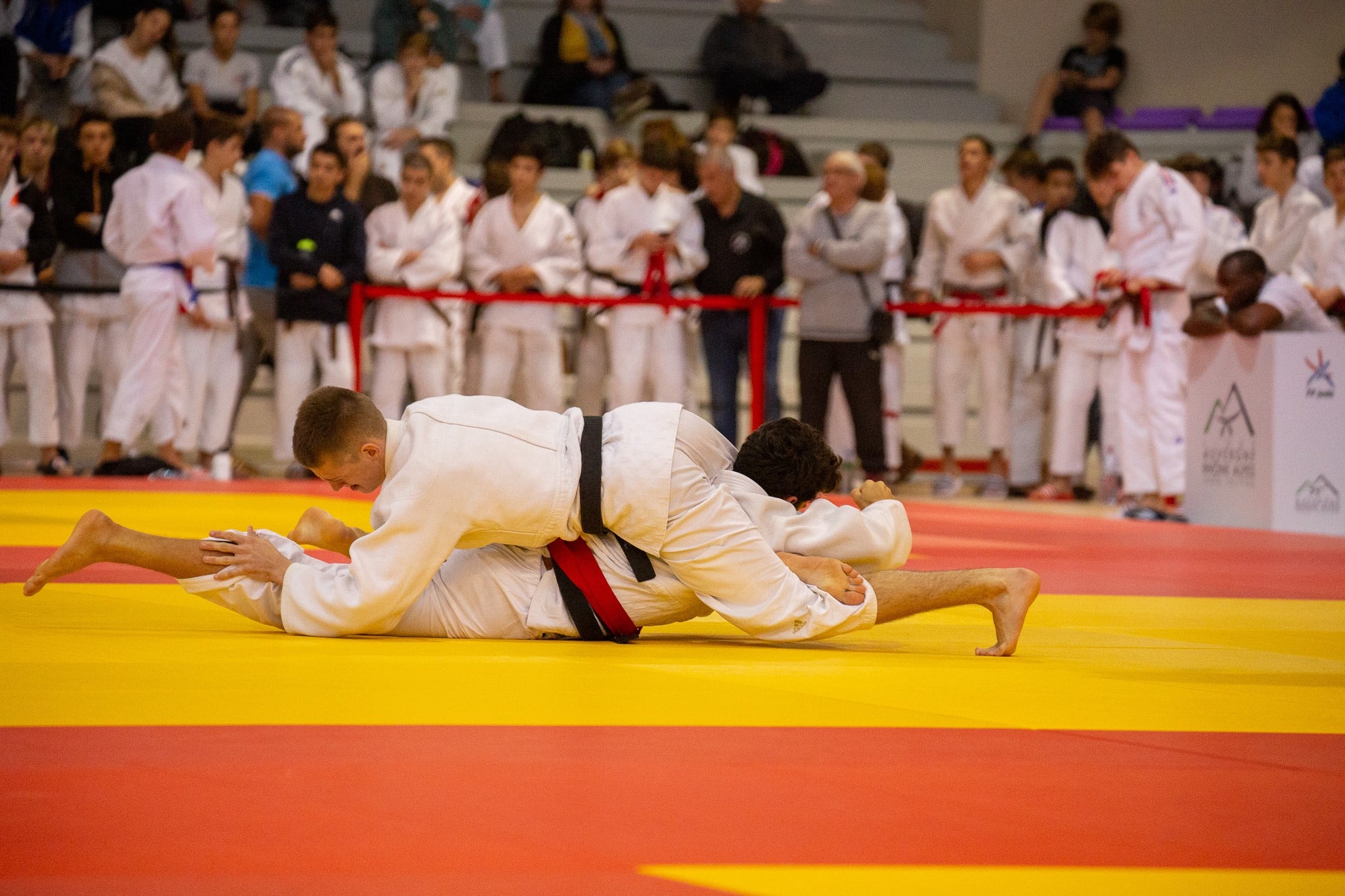 Le judo à l'honneur